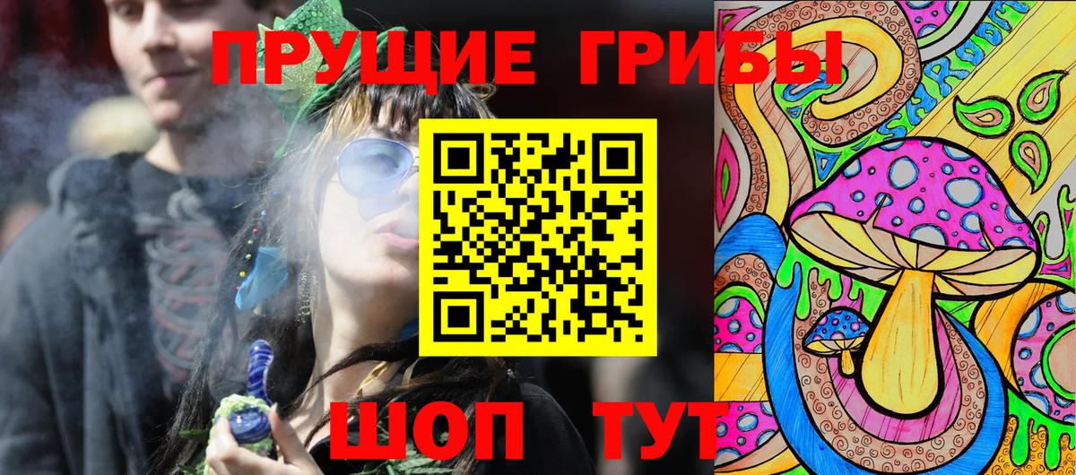 Галлюциногенные грибы Psilocybe Курчатов