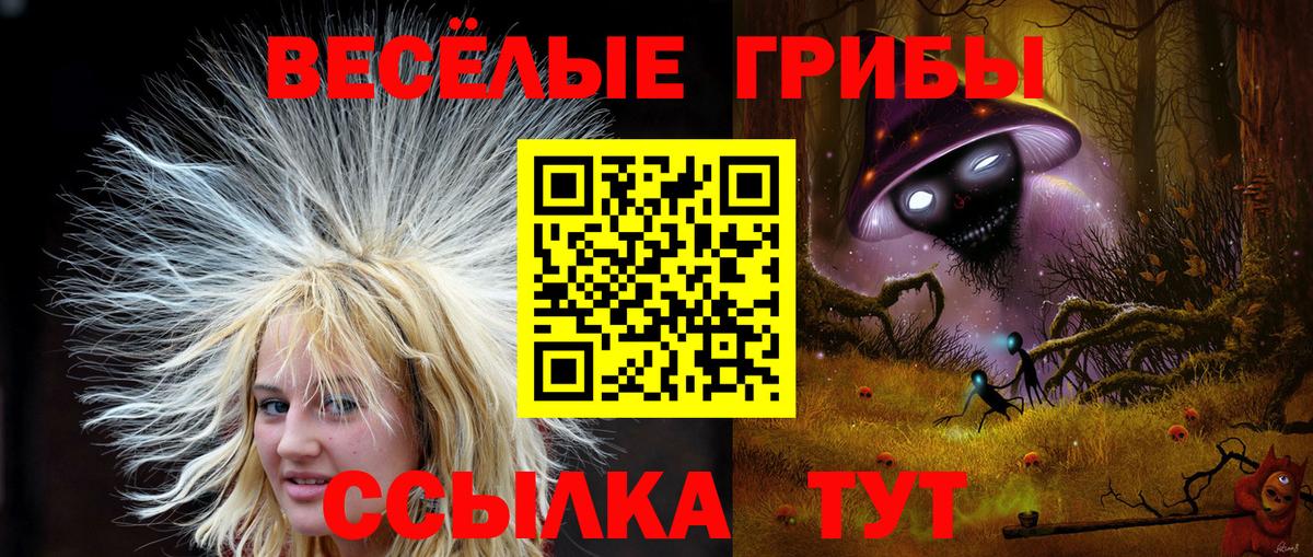Псилоцибиновые грибы Psilocybe  Вход с VPN  Курчатов  Псилоцибиновые грибы Cubensis 