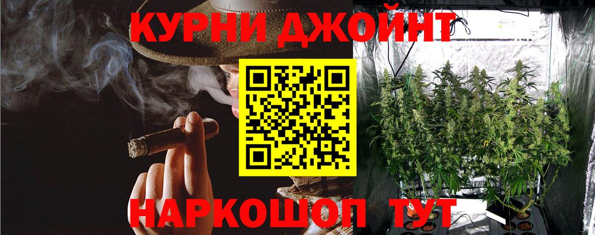 Шишки марихуана Bruce Banner Курчатов